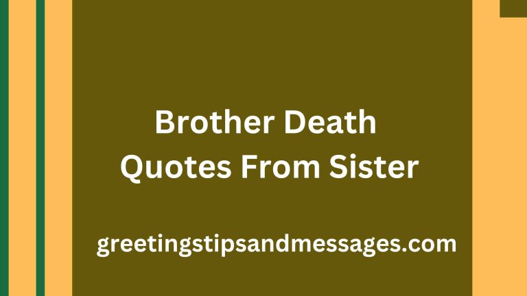 60 Short Tribute and In Memory of My Brother Death Quotes From Sister
